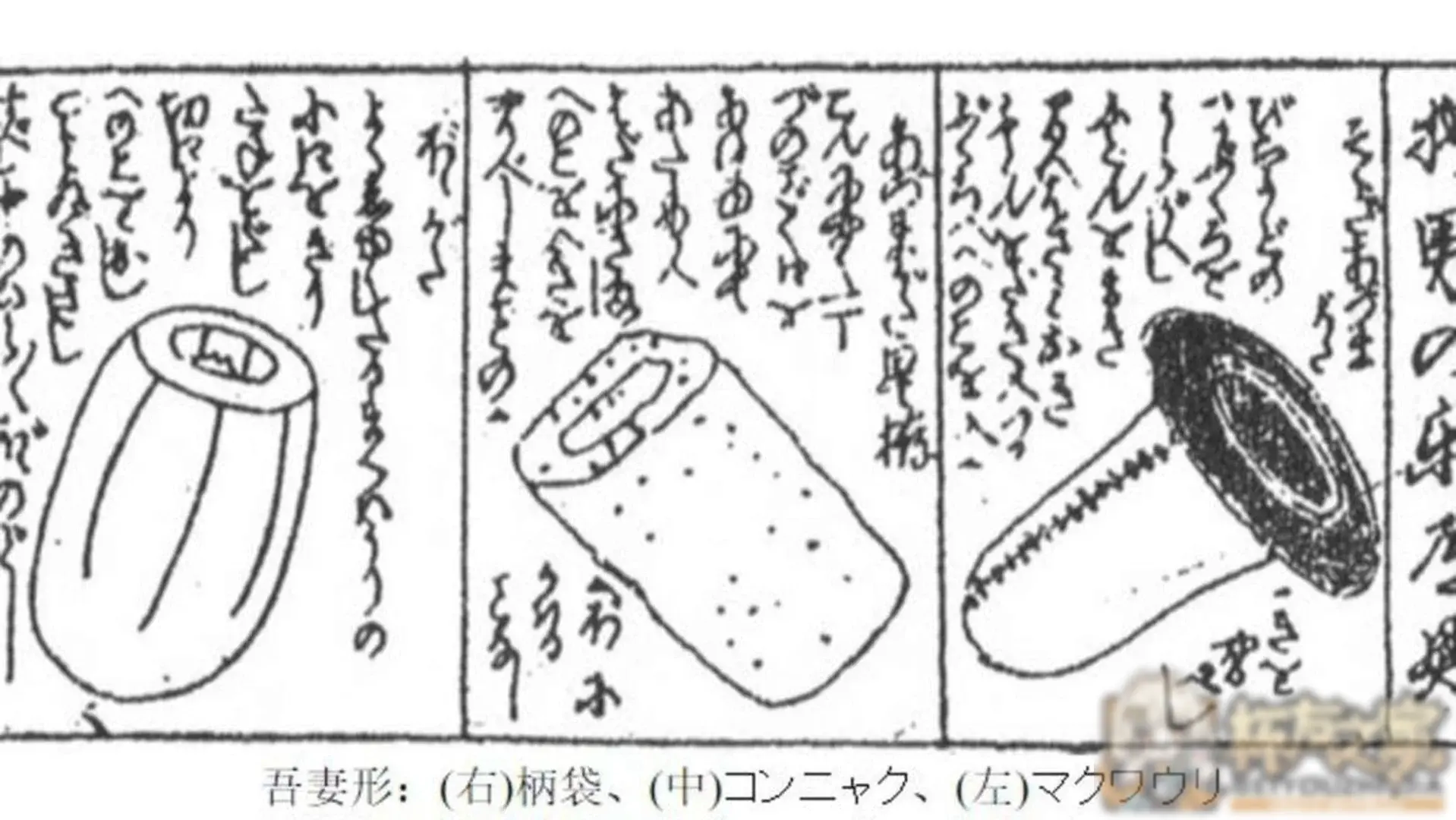 杯子的发展史与由来 | 杯友之家 - 杯友论坛 - Beiyou Club