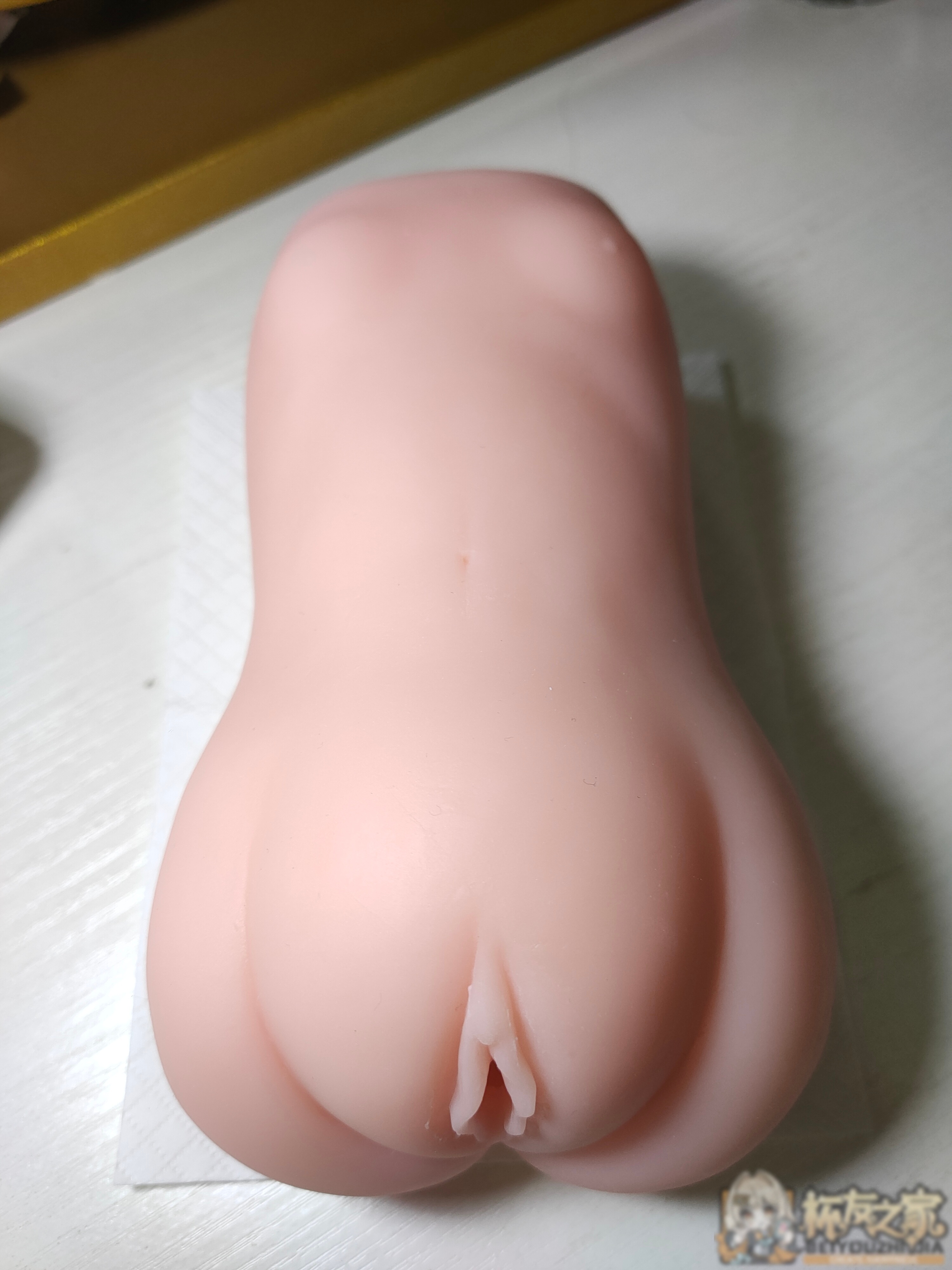 lovefactor【御神子】个人评测 | 杯友之家 - 杯友论坛 - Beiyou Club