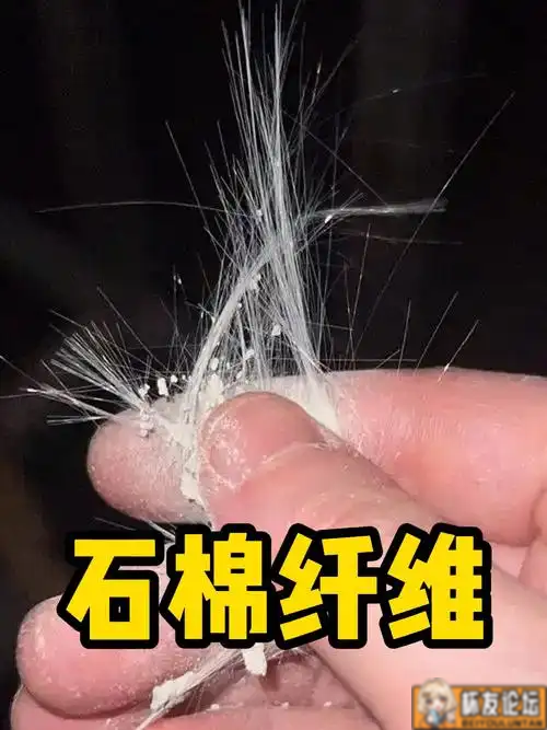 关于爽身粉及保养粉所含滑石的事 | 杯友之家 - 杯友论坛 - Beiyou Club