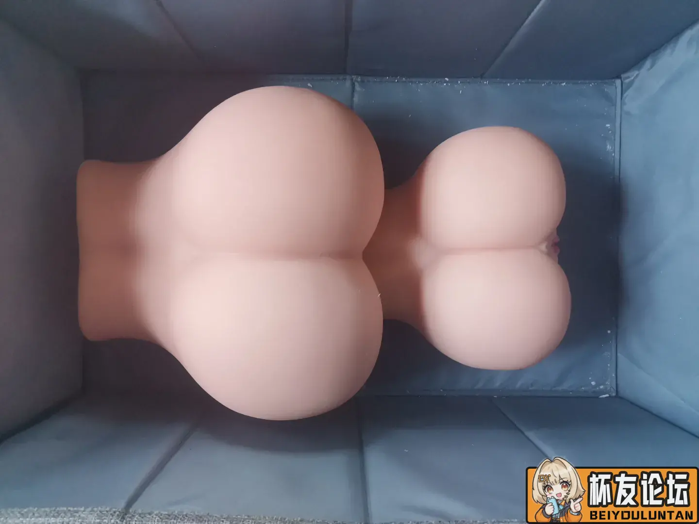 麻美2、生榨、皮二、软萌对比图 | 杯友之家 - 杯友论坛 - Beiyou Club