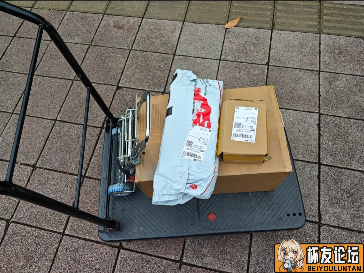 鼠鼠品细糠之魔皇一 - 细节实拍图 3